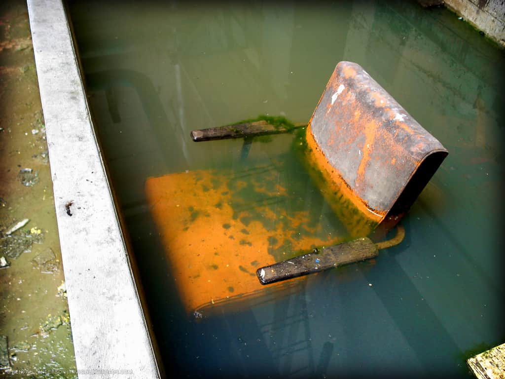 An orange chair is covered in moss and mold, and is half-submerged in a tank of water.