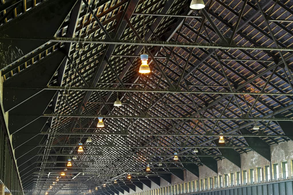 Steel triangular roof trusses extend the entire length of a building, viewed in perspective. Some small lighting fixtures hang from the ceiling, and many of the steel trusses are dirtied with bird poo.