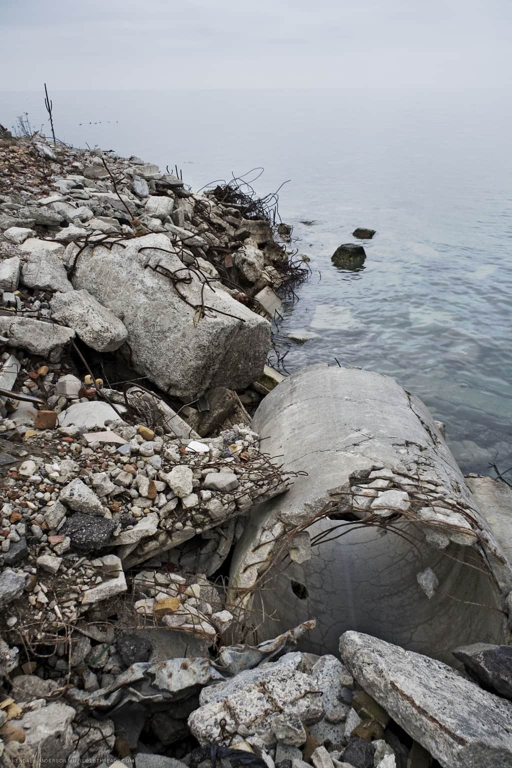 One tree stump in the ice in Tommy Thompson park