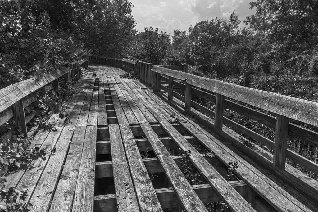 Wooden raised boardwalk with missing boards and planks, surrounded by overgrown trees and vegetation